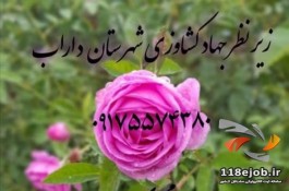 نهالستان تخصصی چشمه عاشق در داراب