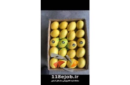 فروش لیمو سنگی درجه یک  سینا در قیروکارزین