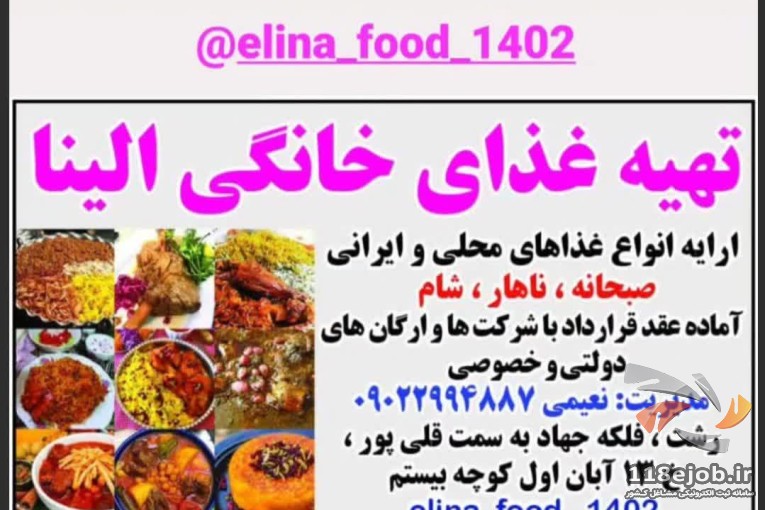 تهیه غذای خانگی الینا در رشت