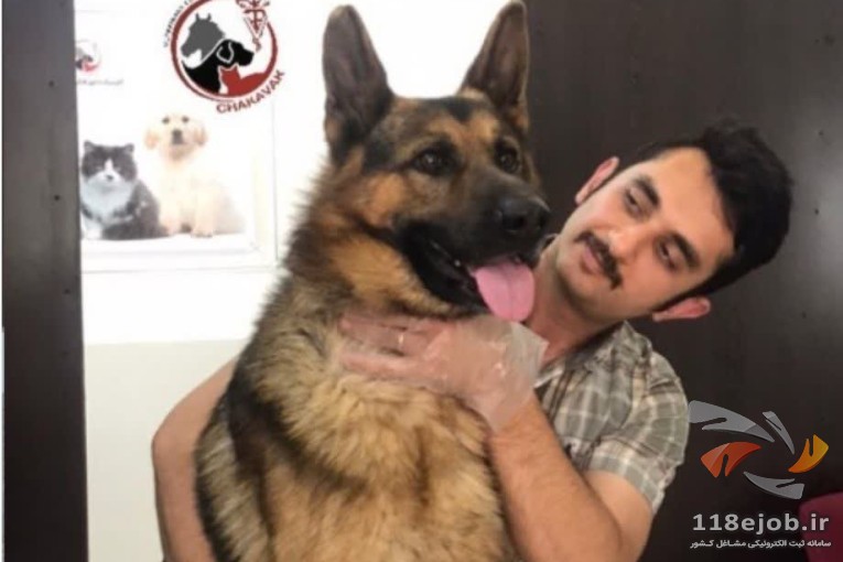 خدمات کلینیک دامپزشکی چکاوک در رشت