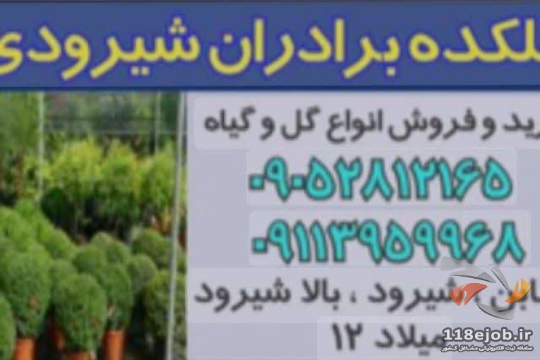 گلکده برادران شیرودی در تنکابن