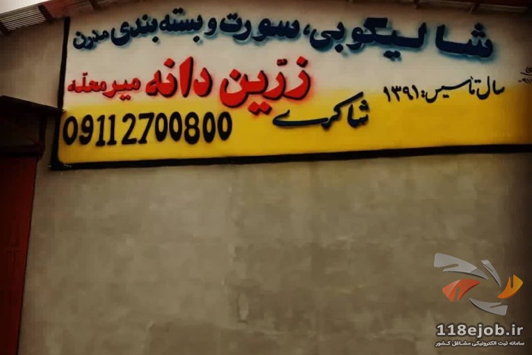 شالیکوبی مدرن زرین دانه در گرگان