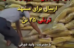 بهترین برنج فروشی در شادگان