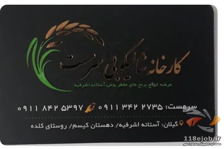 بهترین تولید کننده برنج در آستانه اشرفیه