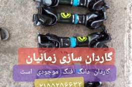 گاردان سازی زمانیان در تهران