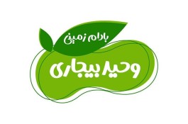 کارخانه بادام زمینی وحید بیجاری در آستانه اشرفیه
