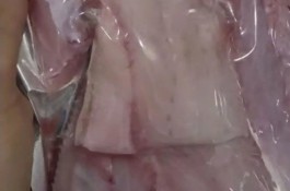 فروشگاه محصولات دریایی ماهی جنوب خاوران در بوشهر