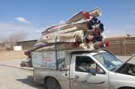 قالیشویی برتر کد ۱۰۲ در ورامین