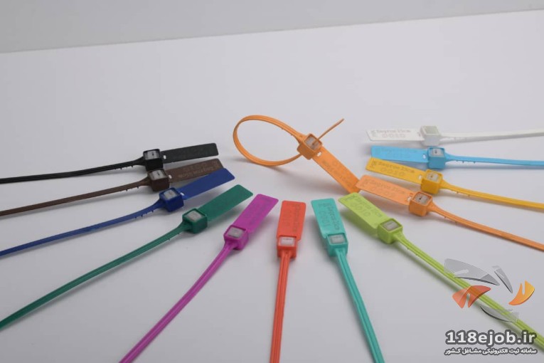 پلمپ امنیتی 