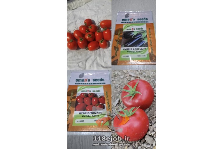 شرکت زرین بذر نوین همدان در نهاوند