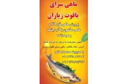 پرورش ماهی قزل آلا و سالمون یاقوت در زیاران