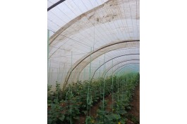 نایلون گلخانه ای برادران در بابل