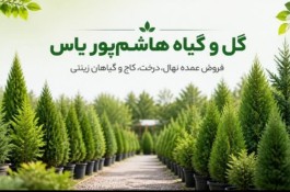 مجتمع تولیدی گل و گیاه هاشم پور یاس در کرج