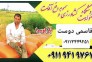 فروشگاه محصولات و ادوات کشاورزی قاسمی دوست در رودبنه