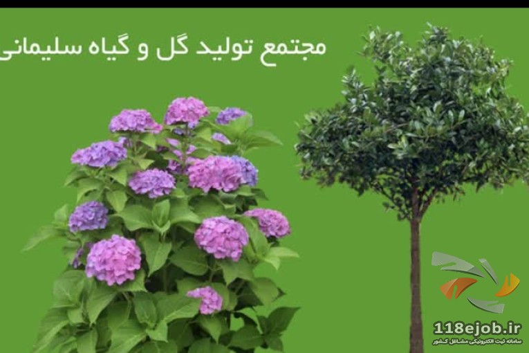 بهترین مجتمع تولیدی گل و گیاه و نهال در کرج - مجتمع تولیدی گل و گیاه و نهال سلیمانی در کرج