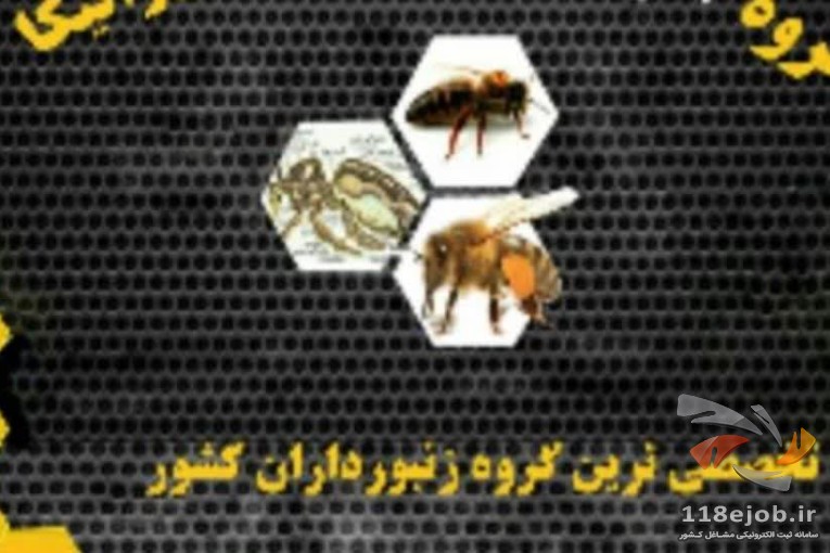 بهترین شرکت تلقیح ملکه در قزوین - شرکت تلقیح ملکه ایرانیکا در قزوین