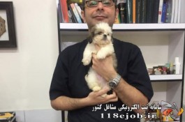 دامپزشک امین غیاثوند در تهران