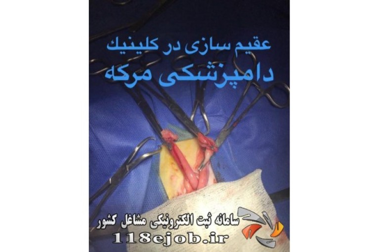 کلینیک دامپزشکی مرکه در تهران