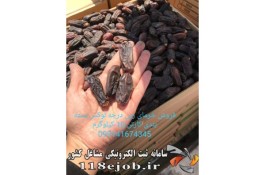 فروش عمده خرمای ربی درجه یک صادراتی رضایی در ایرانشهر