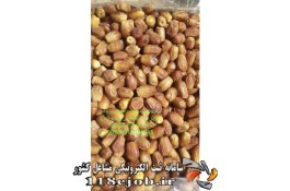 فروش عمده خرمای زاهدی درجه يك صادراتی پاكستان در ایرانشهر