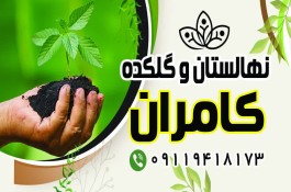 نهالستان و گلکده کامران لاهیجان