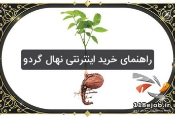 راهنمای خرید اینترنتی نهال گردو در تابستان 1400